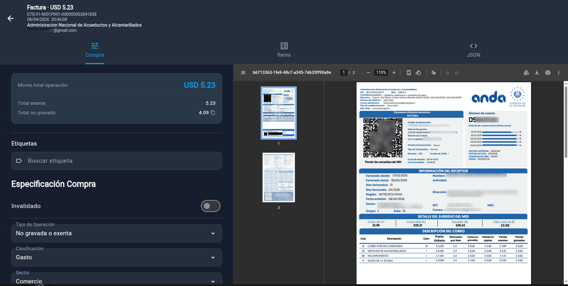 Detalle de factura electrónica con PDF, datos complementarios y clasificación